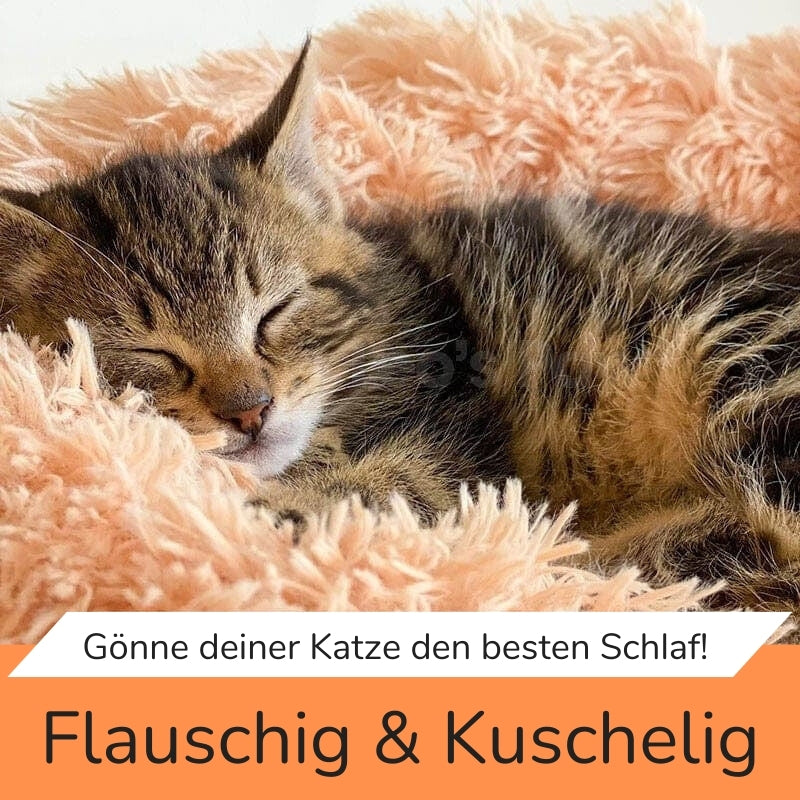 Kuscheliges Katzenbett "Luftikuss"® - das Original