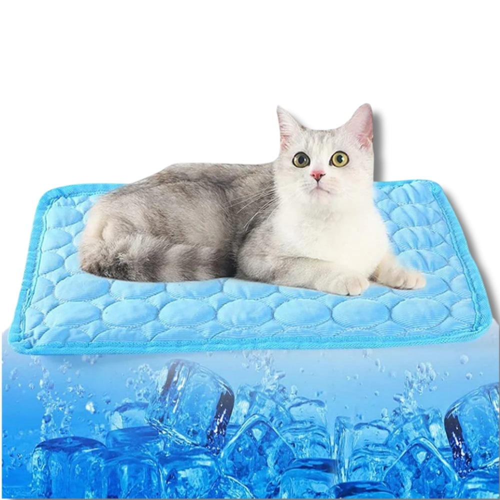 CoolCat® V.4 - Premium Kühlmatte mit Eisseide