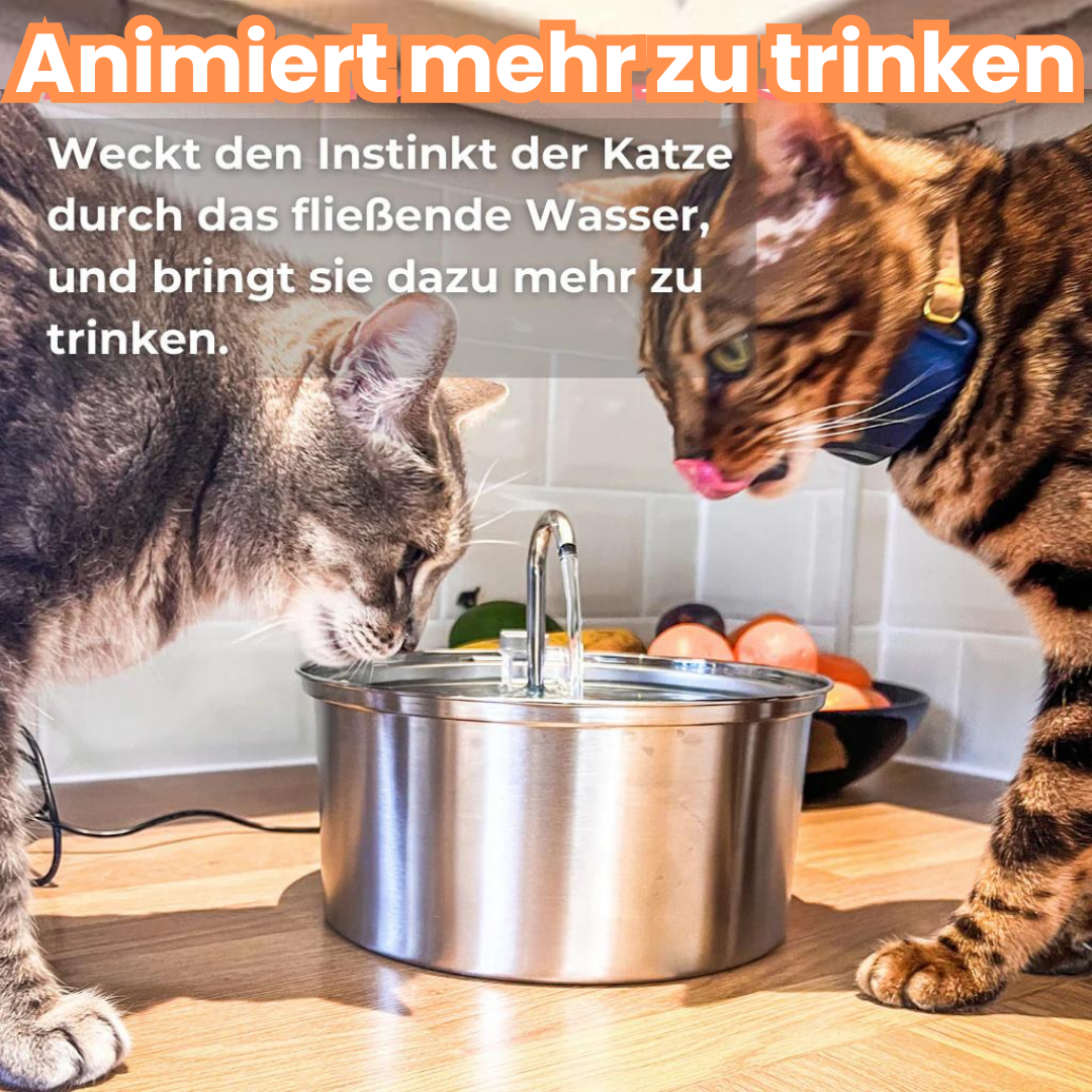 KITTY FLOW® V.3. Premium Trinkbrunnen