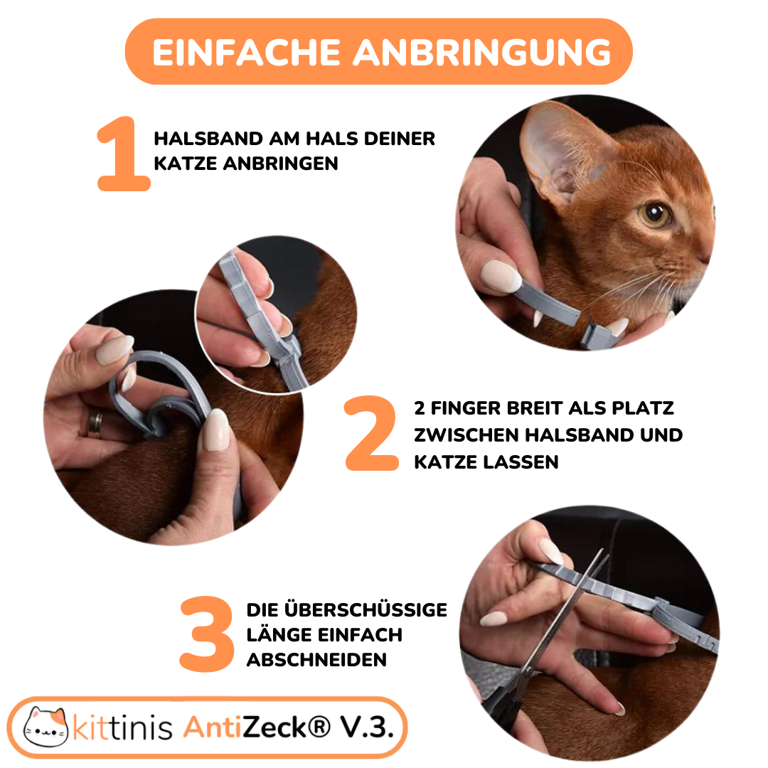 AntiZeck® V.3. - Floh- und Zeckenabwehr für bis zu 8 Monate!