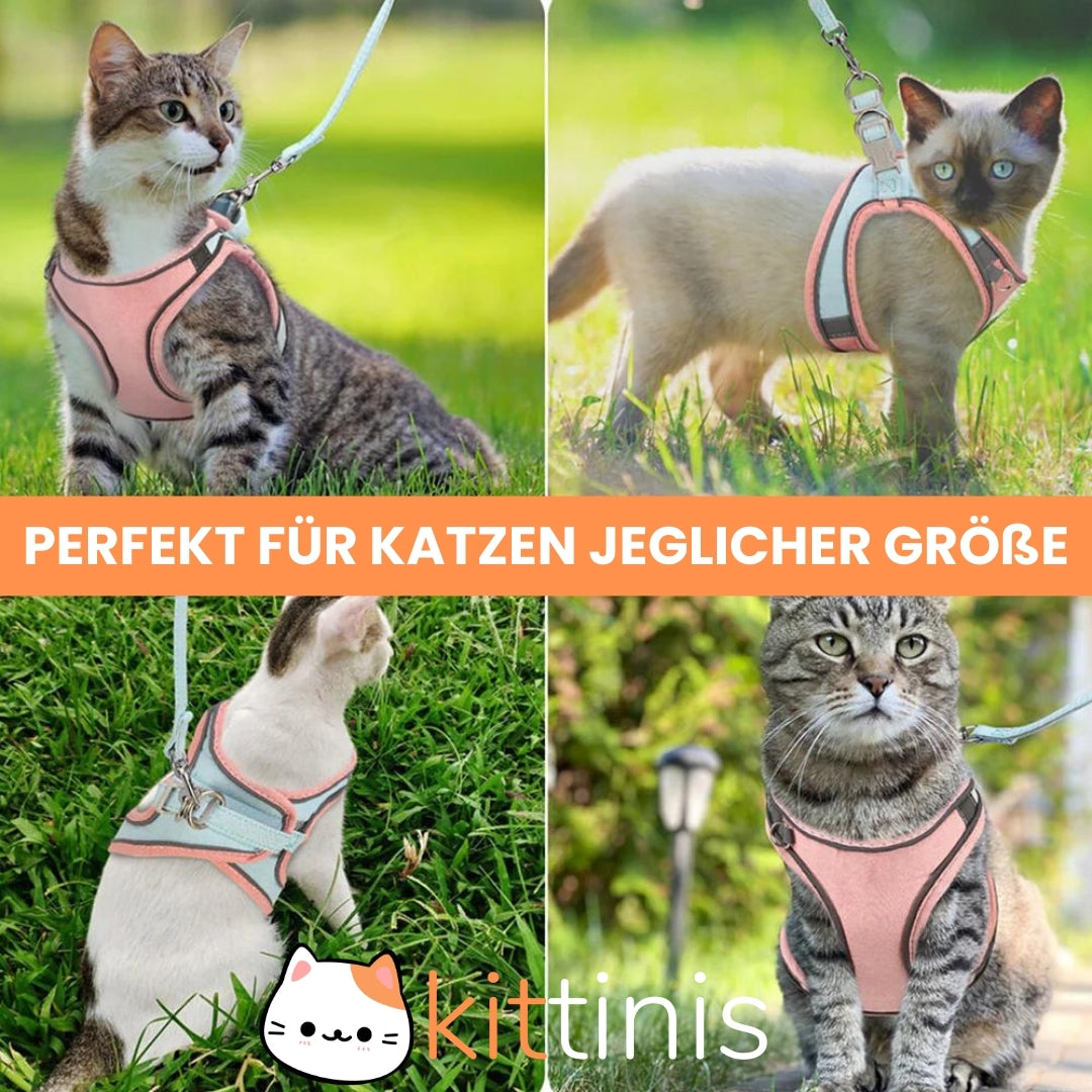 KITTINIS™ - atmungsaktives Katzengeschirr + Leine "PRO"