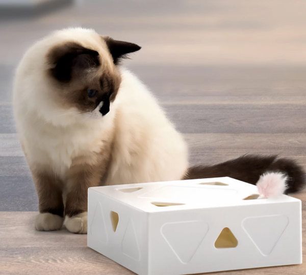 CatBox® - interaktives Katzenspielzeug