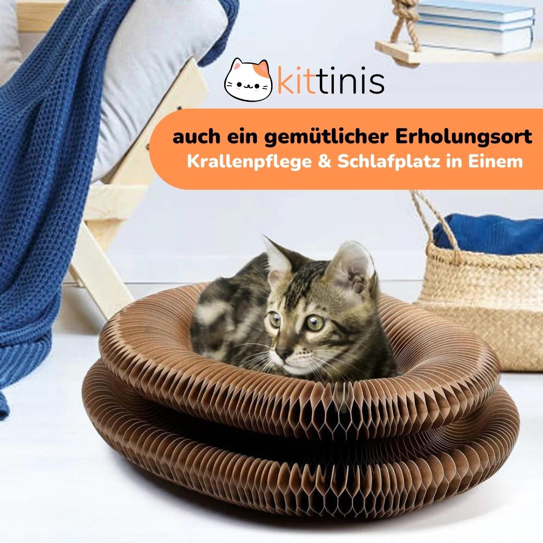 CATCORDION® - Kratzspielzeug und Erholungsort