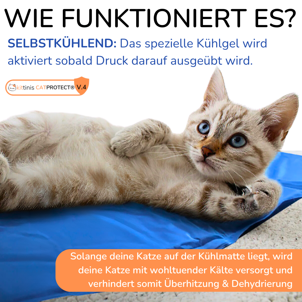 CatProtect® V.4 - Premium Kühlmatte für Katzen