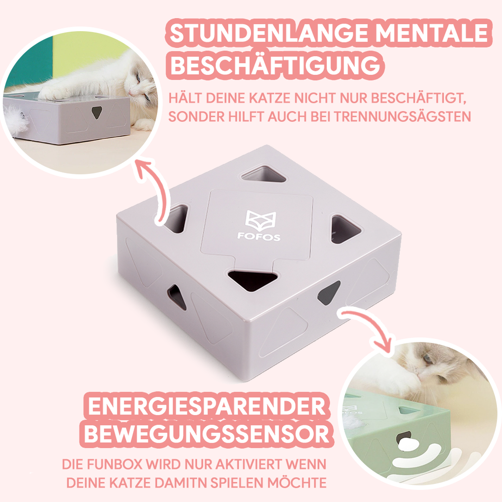 CatBox® - interaktives Katzenspielzeug