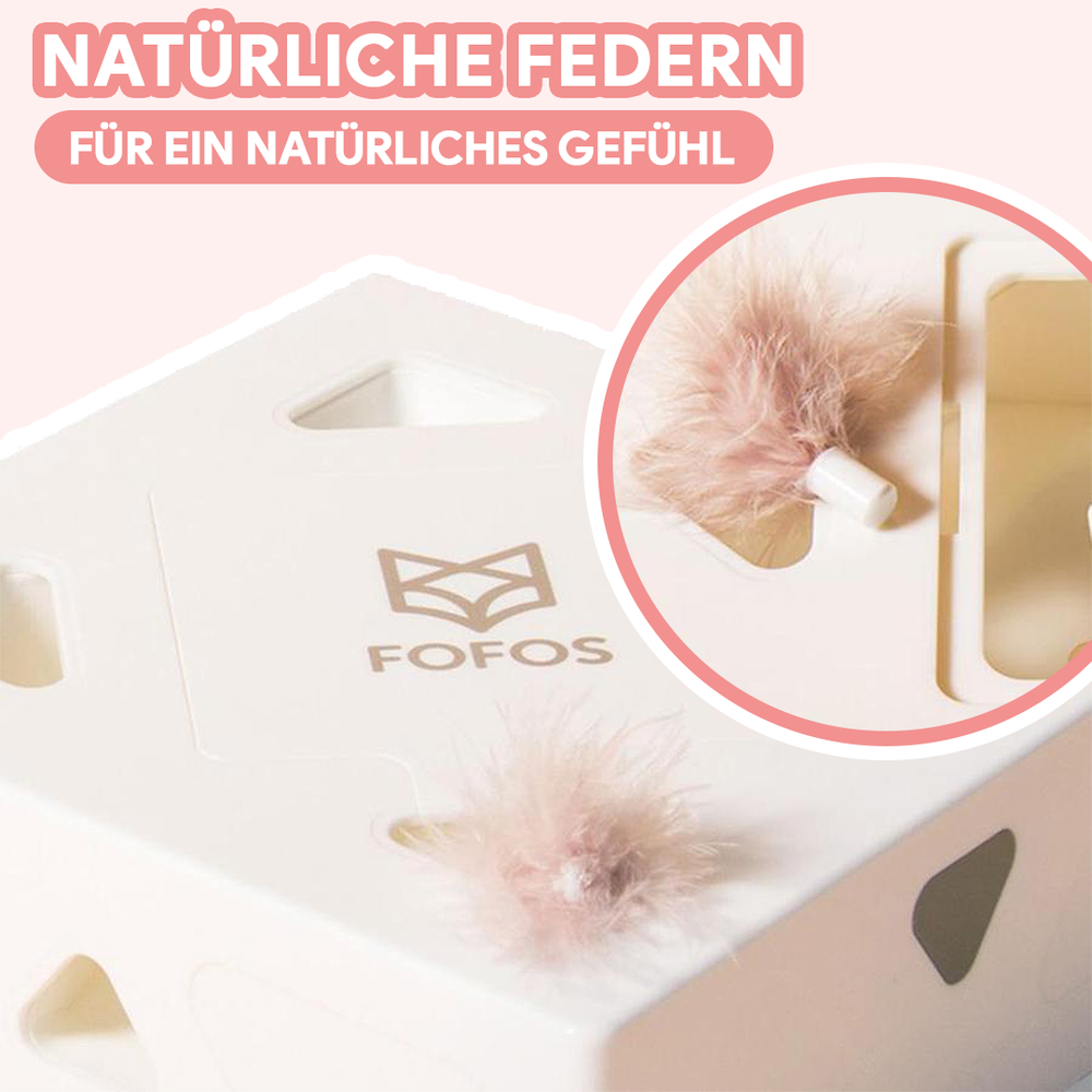 CatBox® - interaktives Katzenspielzeug