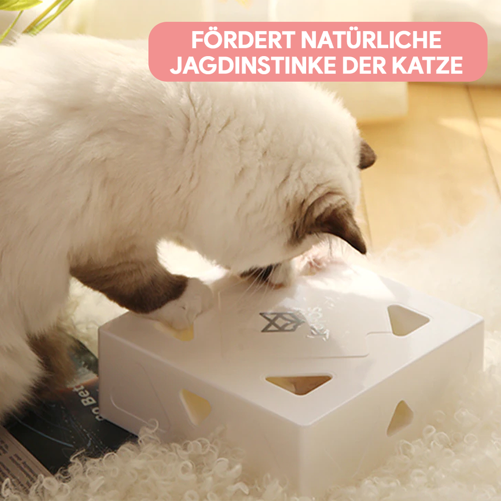 CatBox® - interaktives Katzenspielzeug