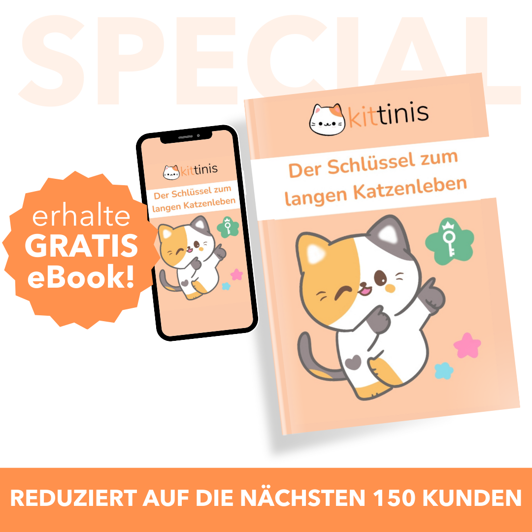 KITTINIS™️ - HAIRFREE® Reinigungsbürste mit Selbstreinigung (SET)