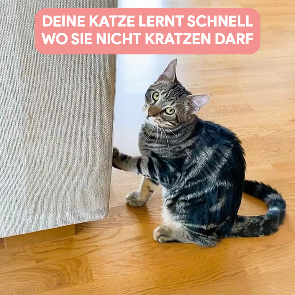 ScratchGuard™ transparenter Möbelschutz für Katzen