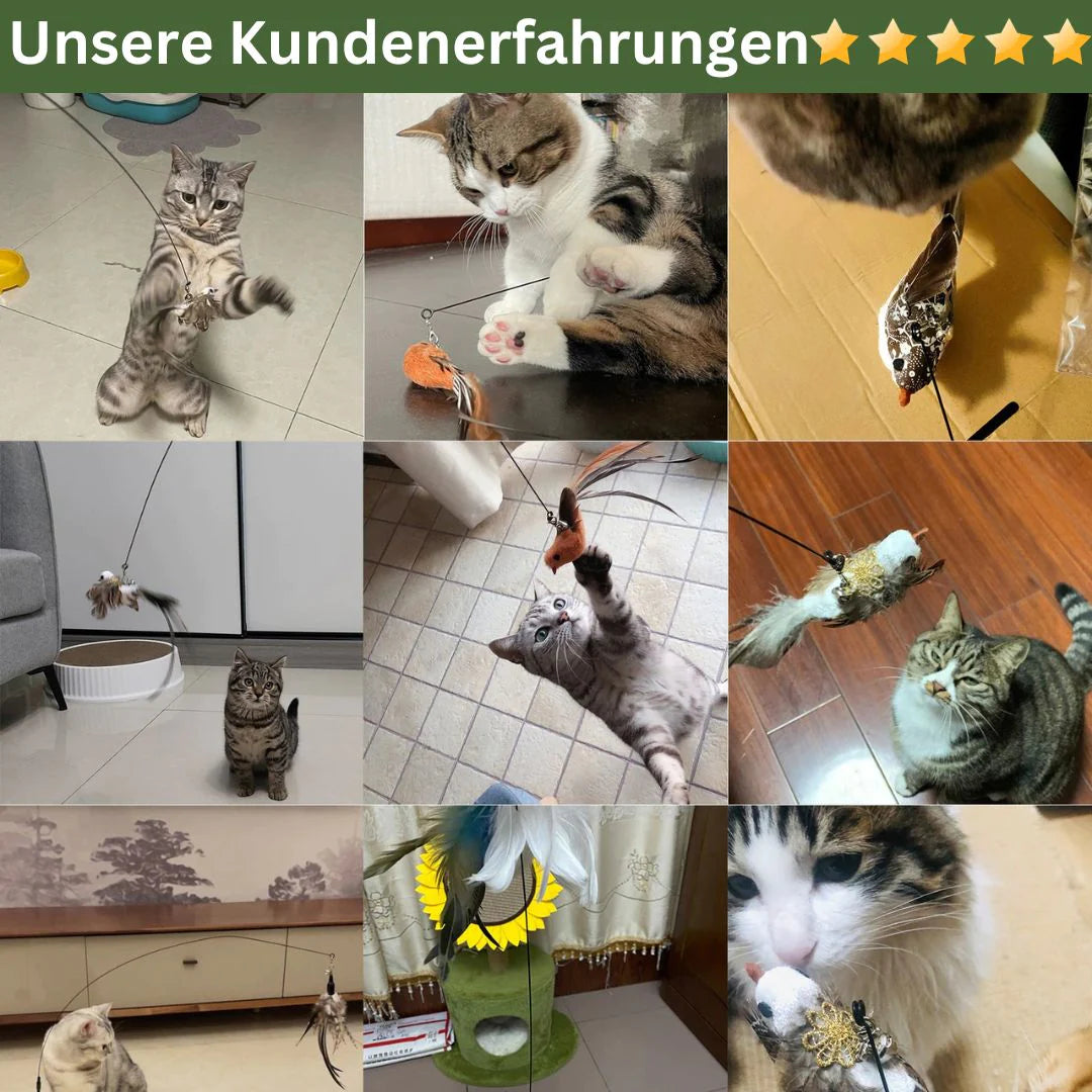 Pinkie® - Interaktives Katzenspielzeug mit Federn