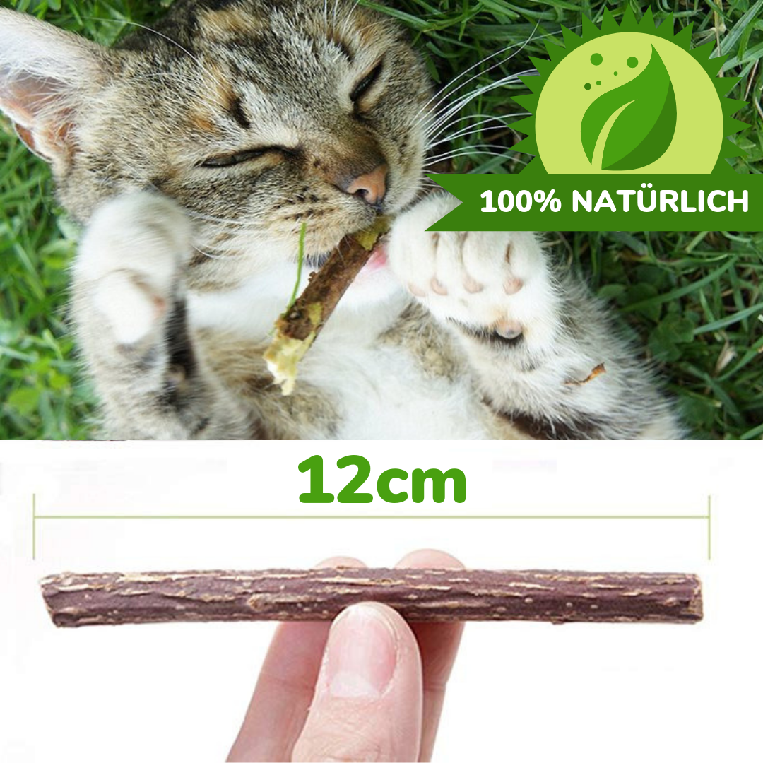 Katzenminze Kausticks (5er Pack)