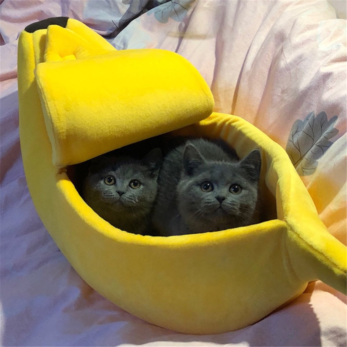 Bananen Bett für Katzen